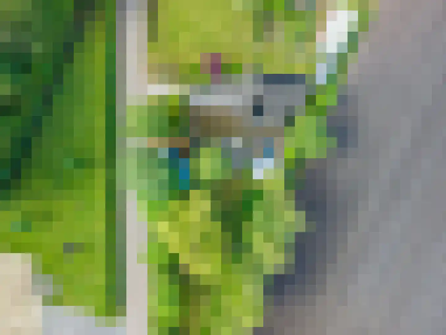 Venneweg 27 Veelerveen thumbnail 6