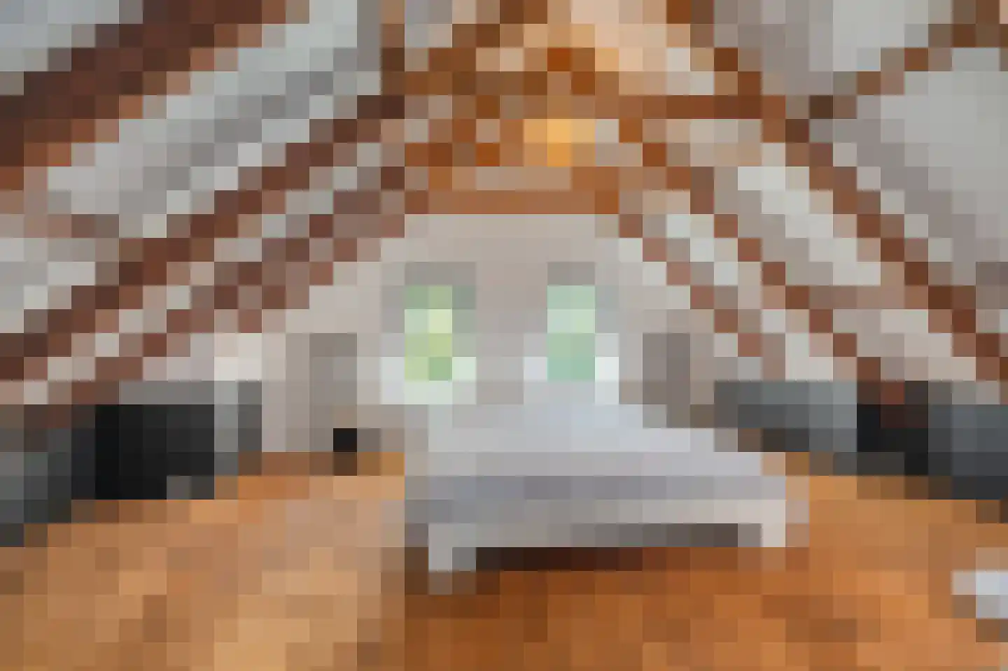 Venneweg 27 Veelerveen thumbnail 63