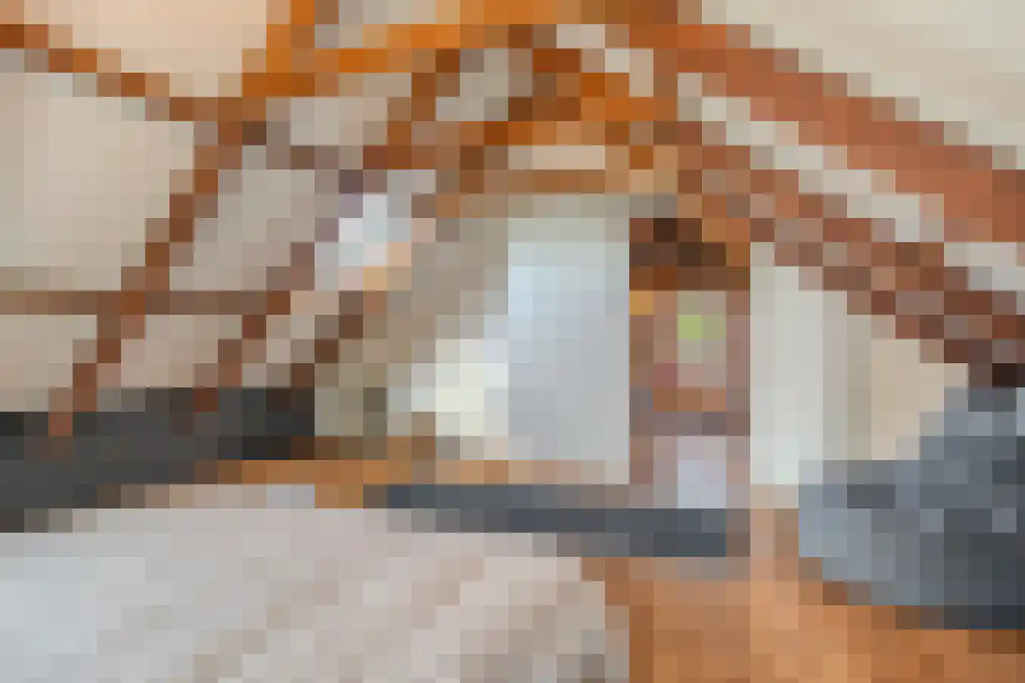 Venneweg 27 Veelerveen thumbnail 64