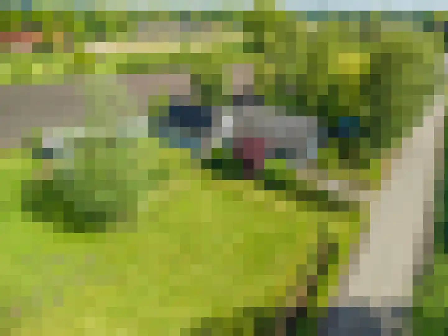 Venneweg 27 Veelerveen thumbnail 7