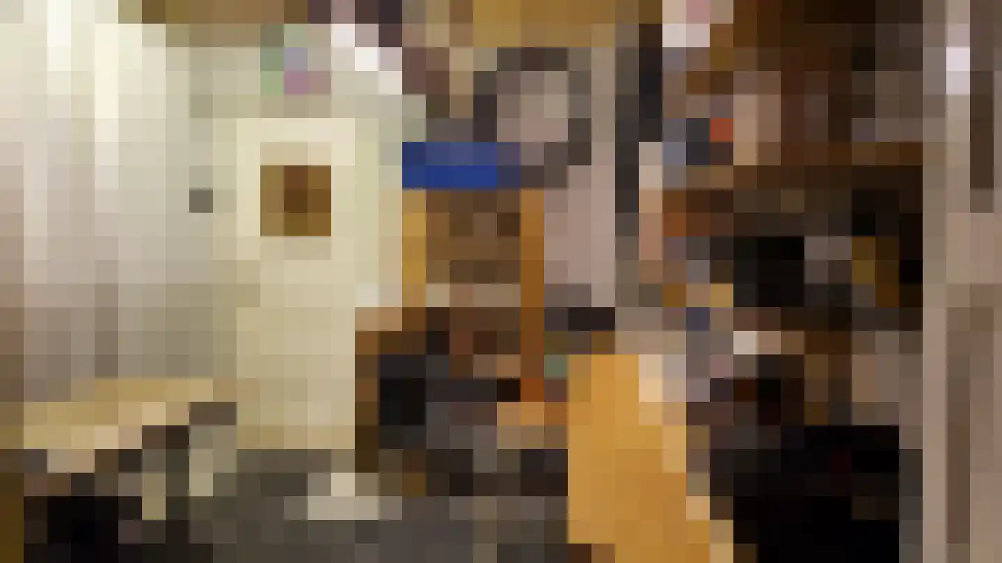 Venneweg 4 Dalfsen thumbnail 19