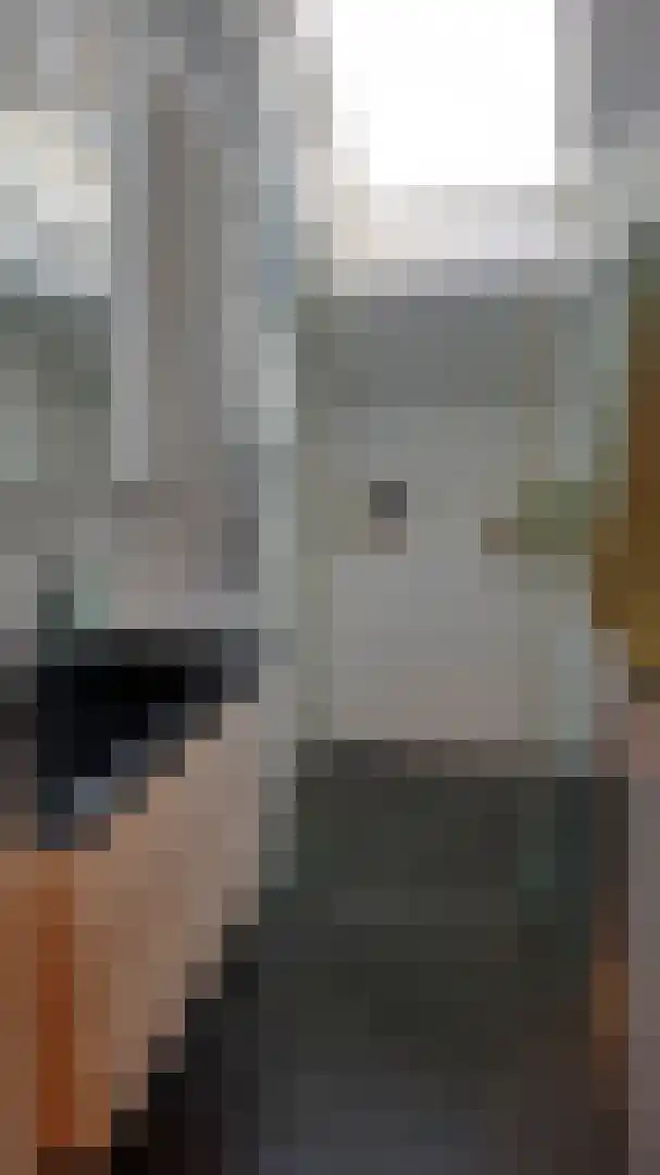 Venneweg 4 Dalfsen thumbnail 23
