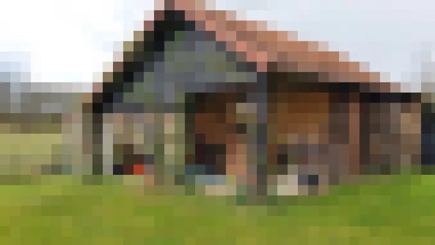 Venneweg 4 Dalfsen thumbnail 24