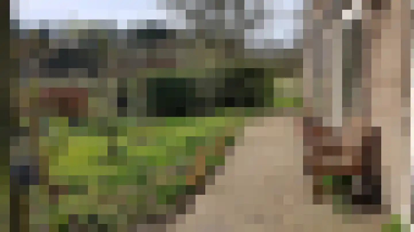 Venneweg 4 Dalfsen thumbnail 26