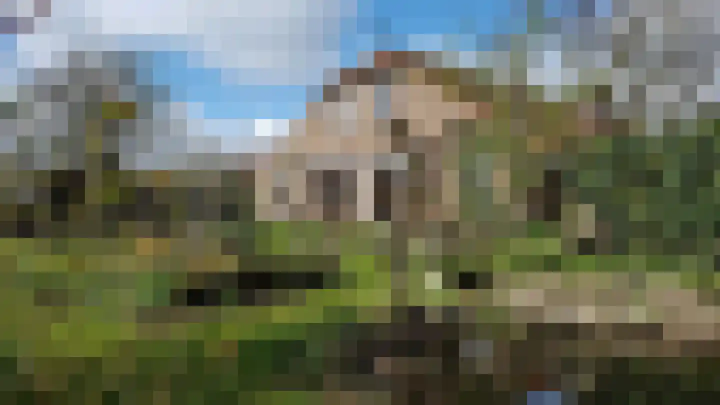 Venneweg 4 Dalfsen thumbnail 27