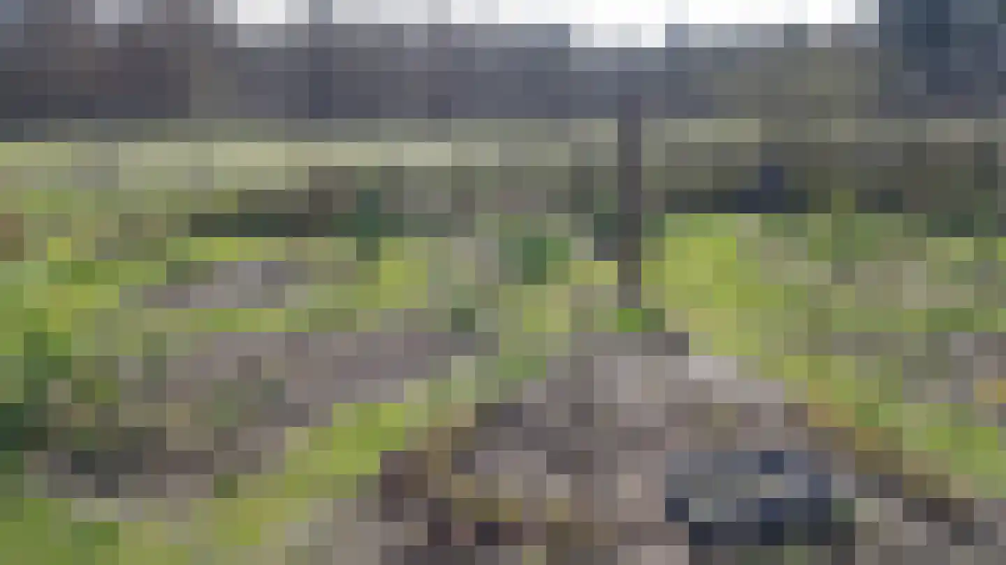 Venneweg 4 Dalfsen thumbnail 28