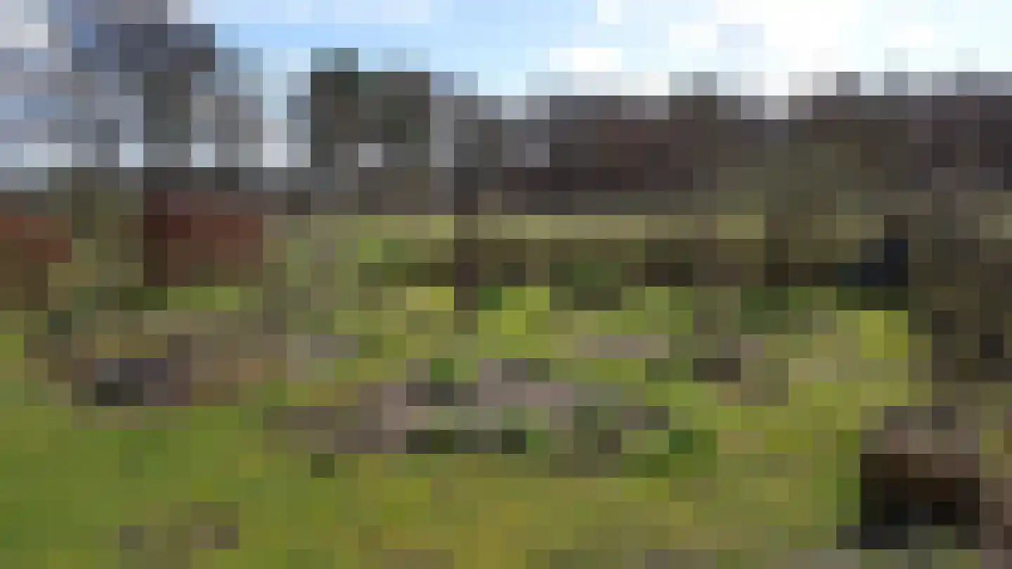 Venneweg 4 Dalfsen thumbnail 29