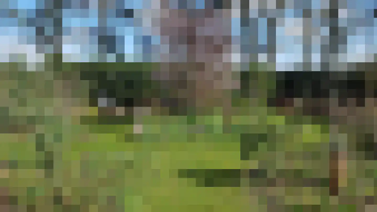 Venneweg 4 Dalfsen thumbnail 30