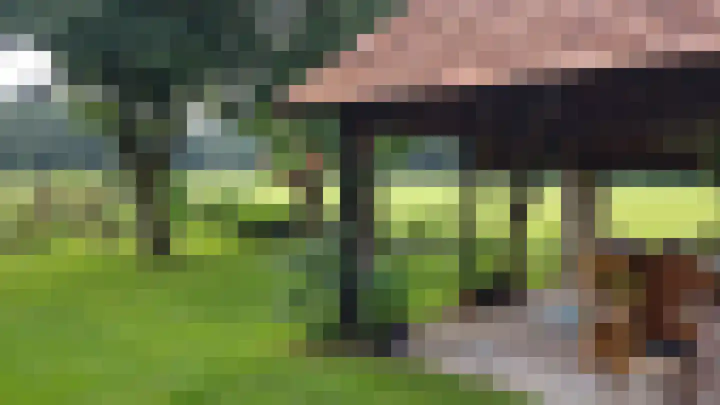 Venneweg 4 Dalfsen thumbnail 36