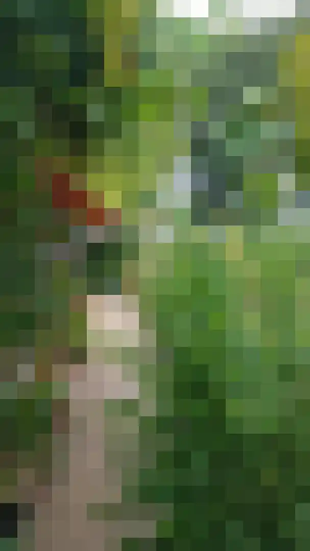 Venneweg 4 Dalfsen thumbnail 39