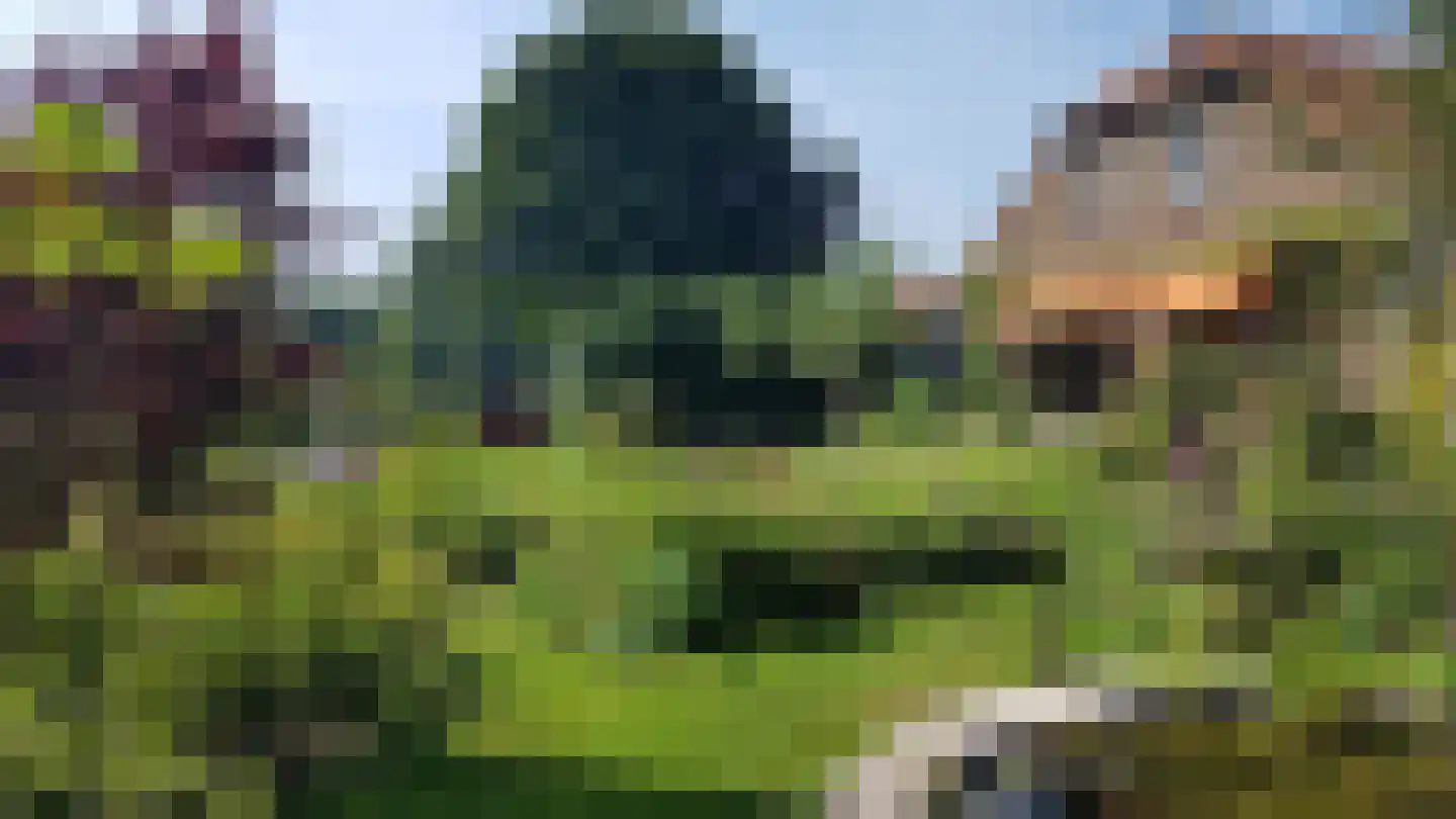 Venneweg 4 Dalfsen thumbnail 40