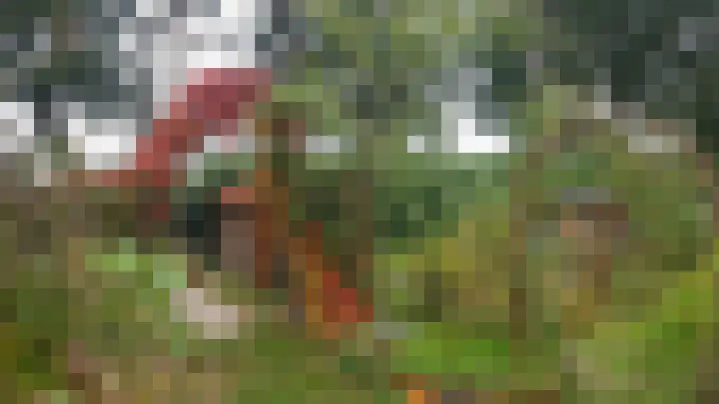 Venneweg 4 Dalfsen thumbnail 41