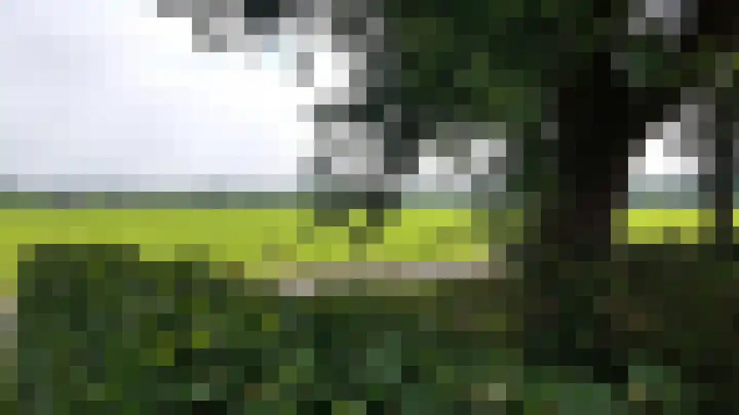 Venneweg 4 Dalfsen thumbnail 43
