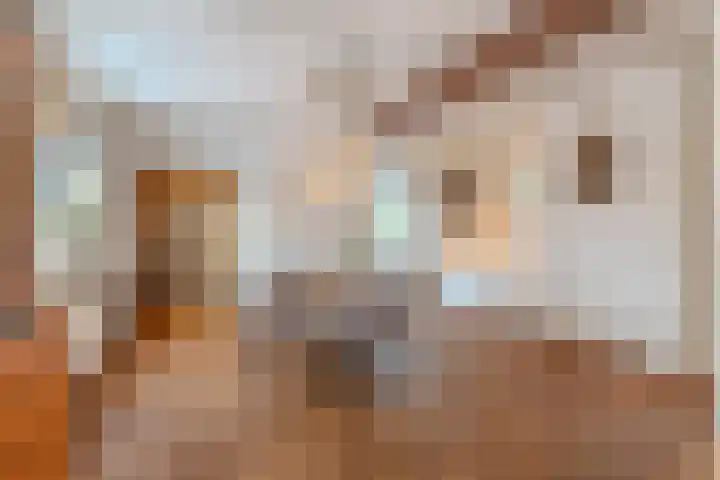 Venneweg 4 Rijen thumbnail 11
