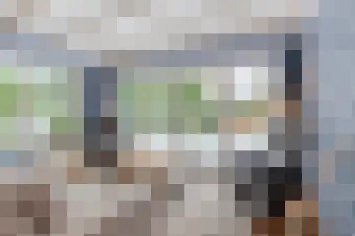 Venneweg 4 Rijen thumbnail 17