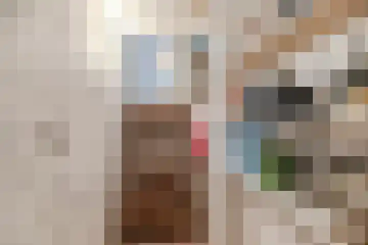 Venneweg 4 Rijen thumbnail 27