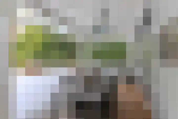 Venneweg 4 Rijen thumbnail 34