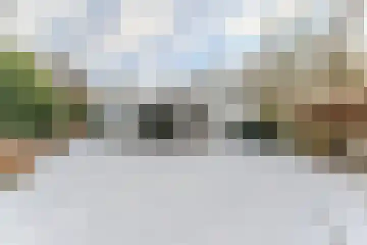Venneweg 4 Rijen thumbnail 4