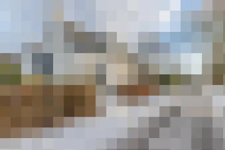 Venneweg 4 Rijen thumbnail 50