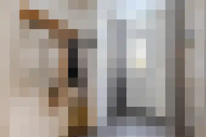 Venneweg 4 Rijen thumbnail 8