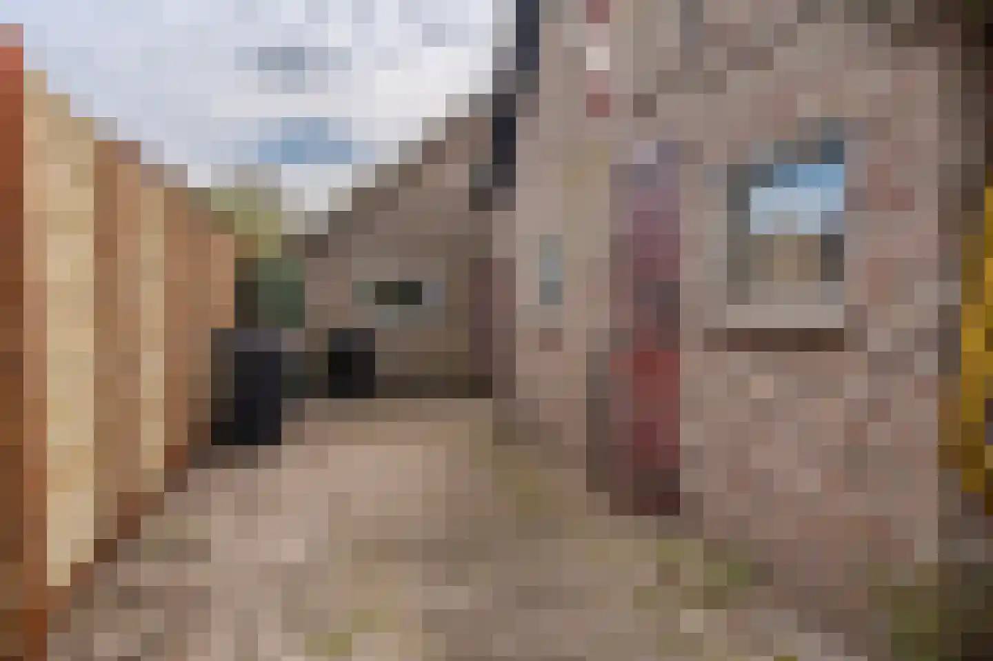Venneweg 51 Veelerveen thumbnail 10