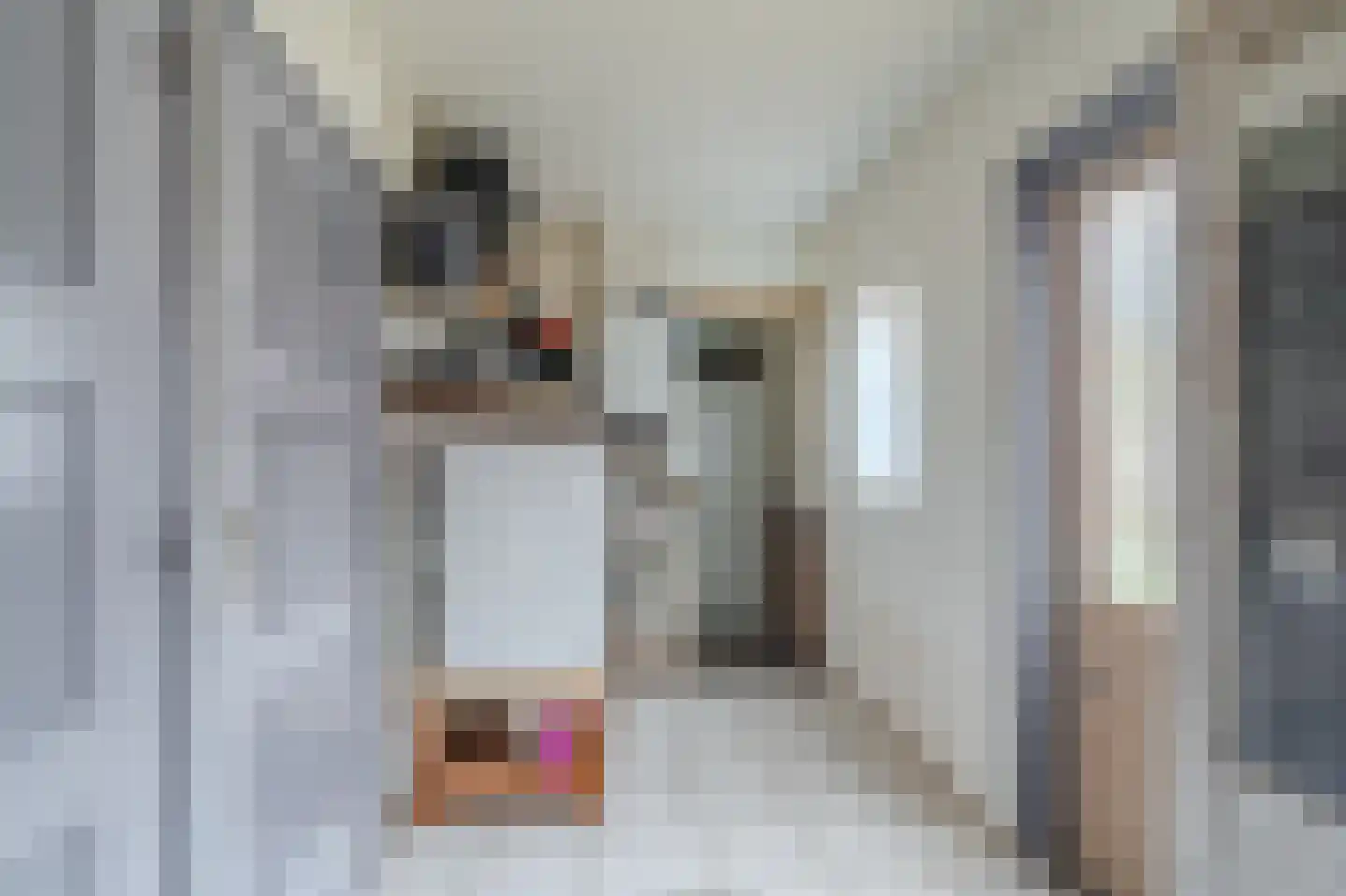Venneweg 51 Veelerveen thumbnail 17