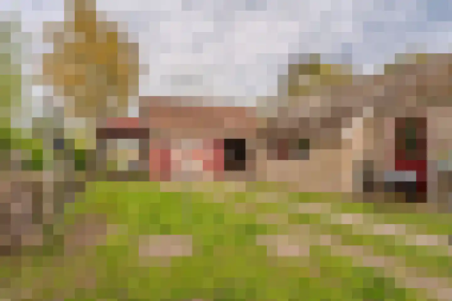 Venneweg 51 Veelerveen thumbnail 6