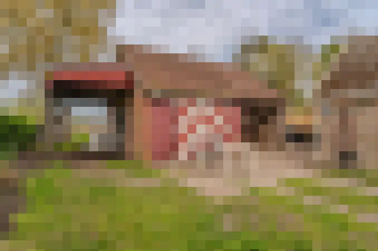 Venneweg 51 Veelerveen thumbnail 7