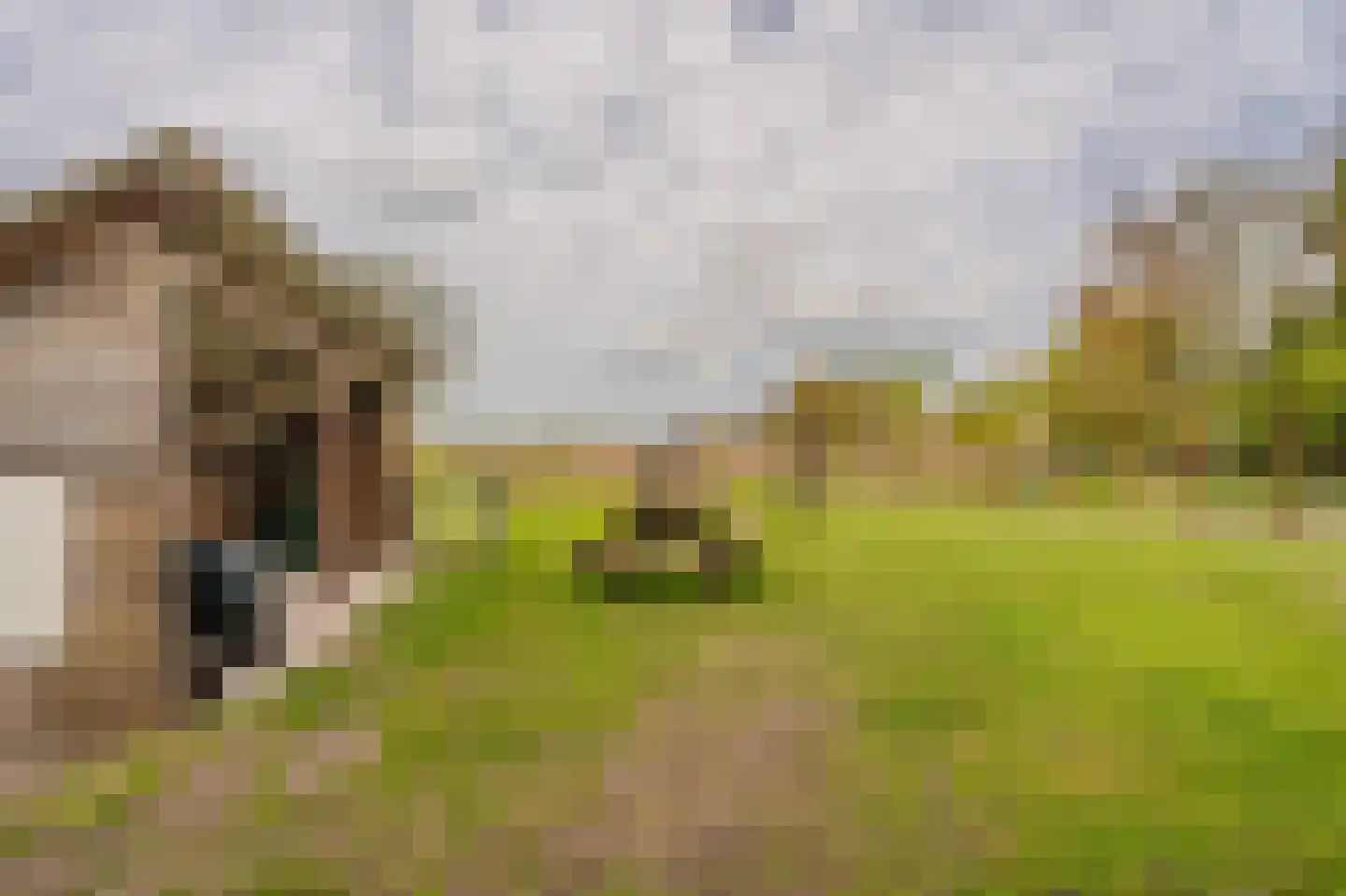 Venneweg 51 Veelerveen thumbnail 8