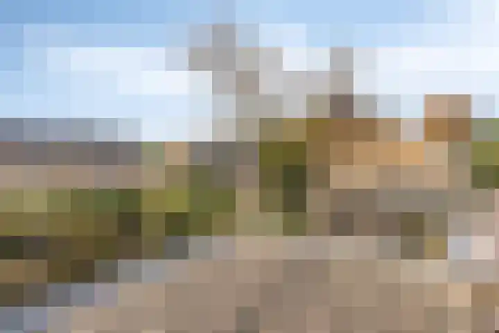 Venneweg 8 Goirle thumbnail 21