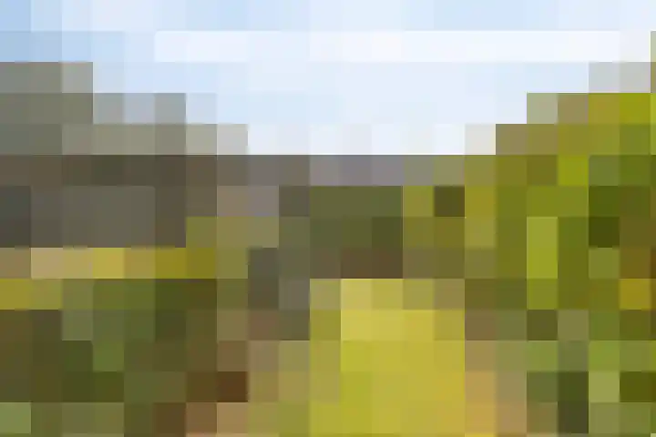 Venneweg 8 Goirle thumbnail 31