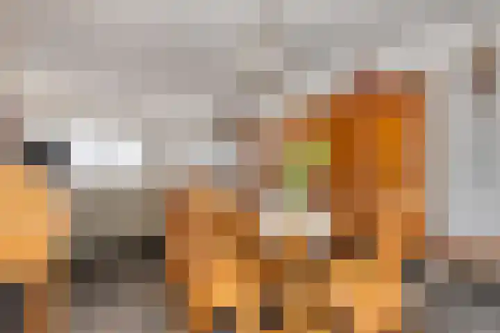 Venneweg 8 Goirle thumbnail 9