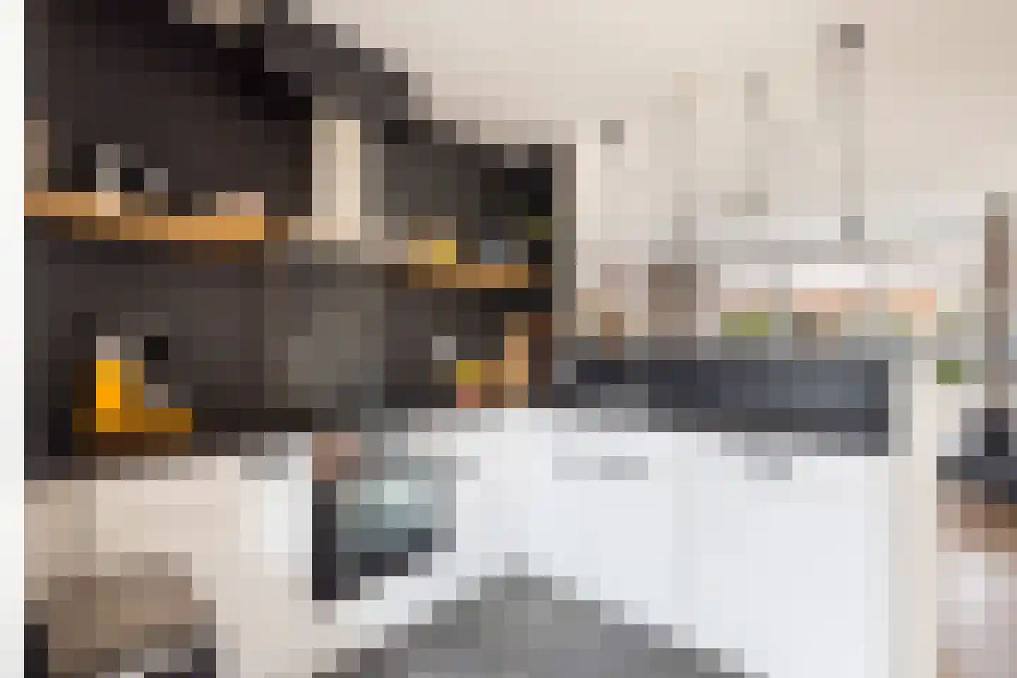 Venneweide 10 Breda thumbnail 16
