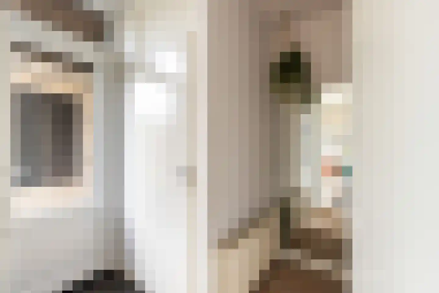 Venneweide 10 Breda thumbnail 18