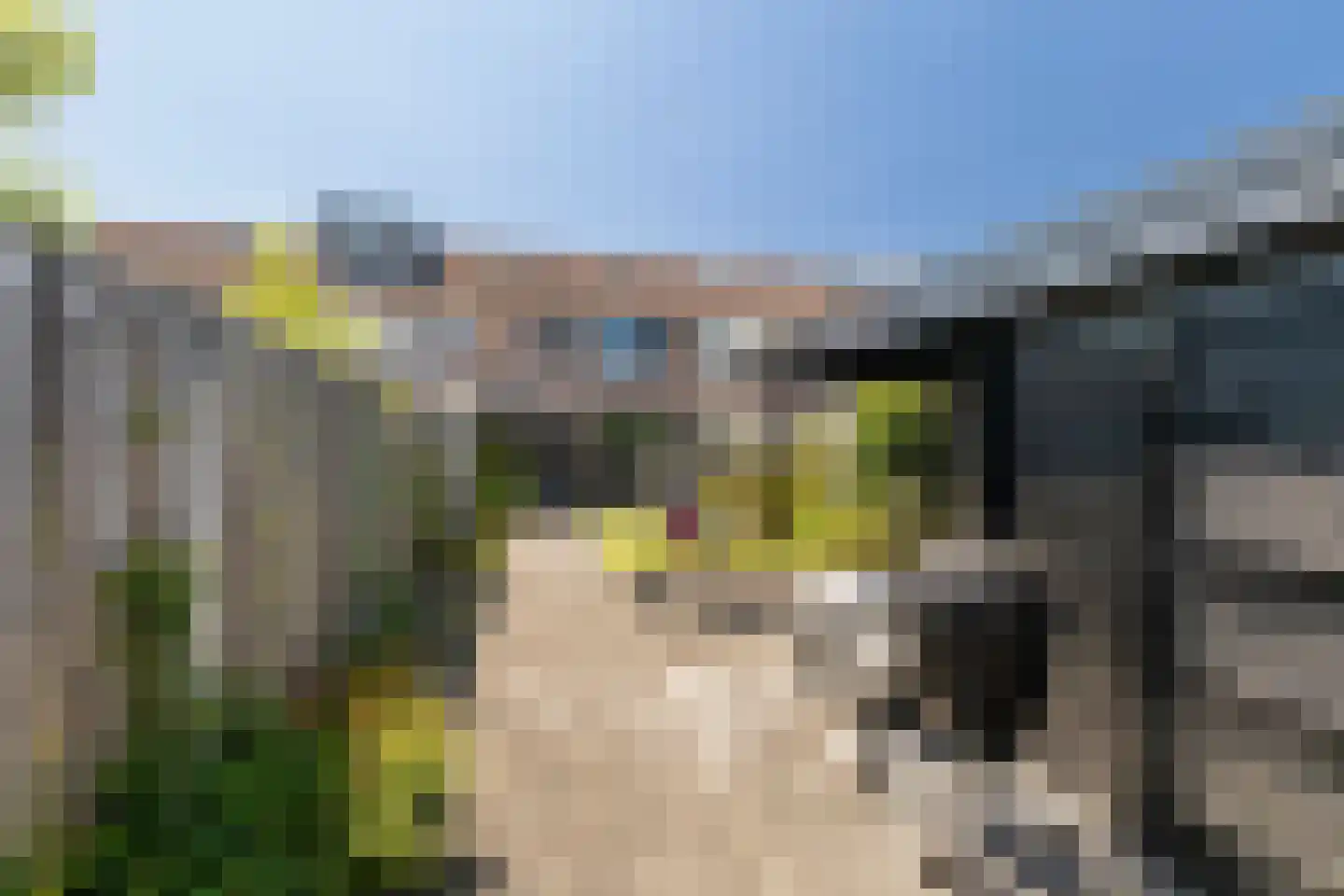 Venneweide 10 Breda thumbnail 33