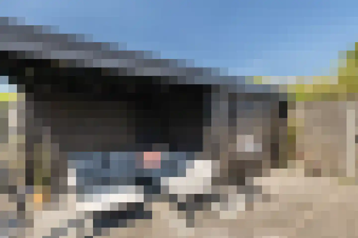 Venneweide 10 Breda thumbnail 38