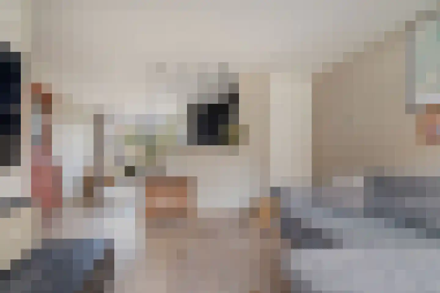 Venneweide 10 Breda thumbnail 5