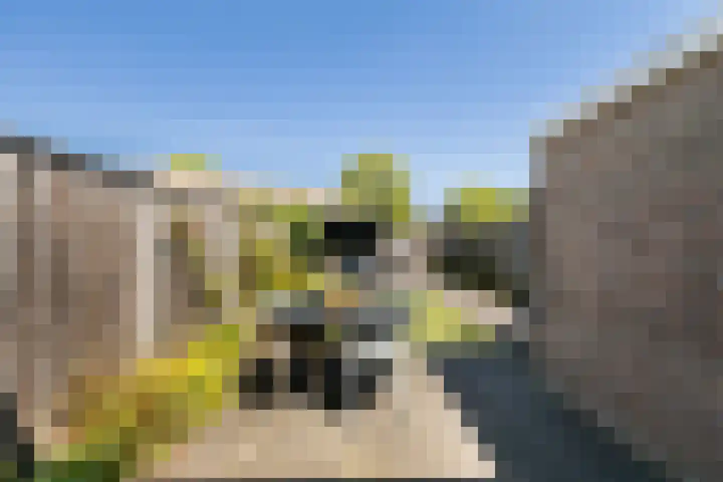 Venneweide 10 Breda thumbnail 6