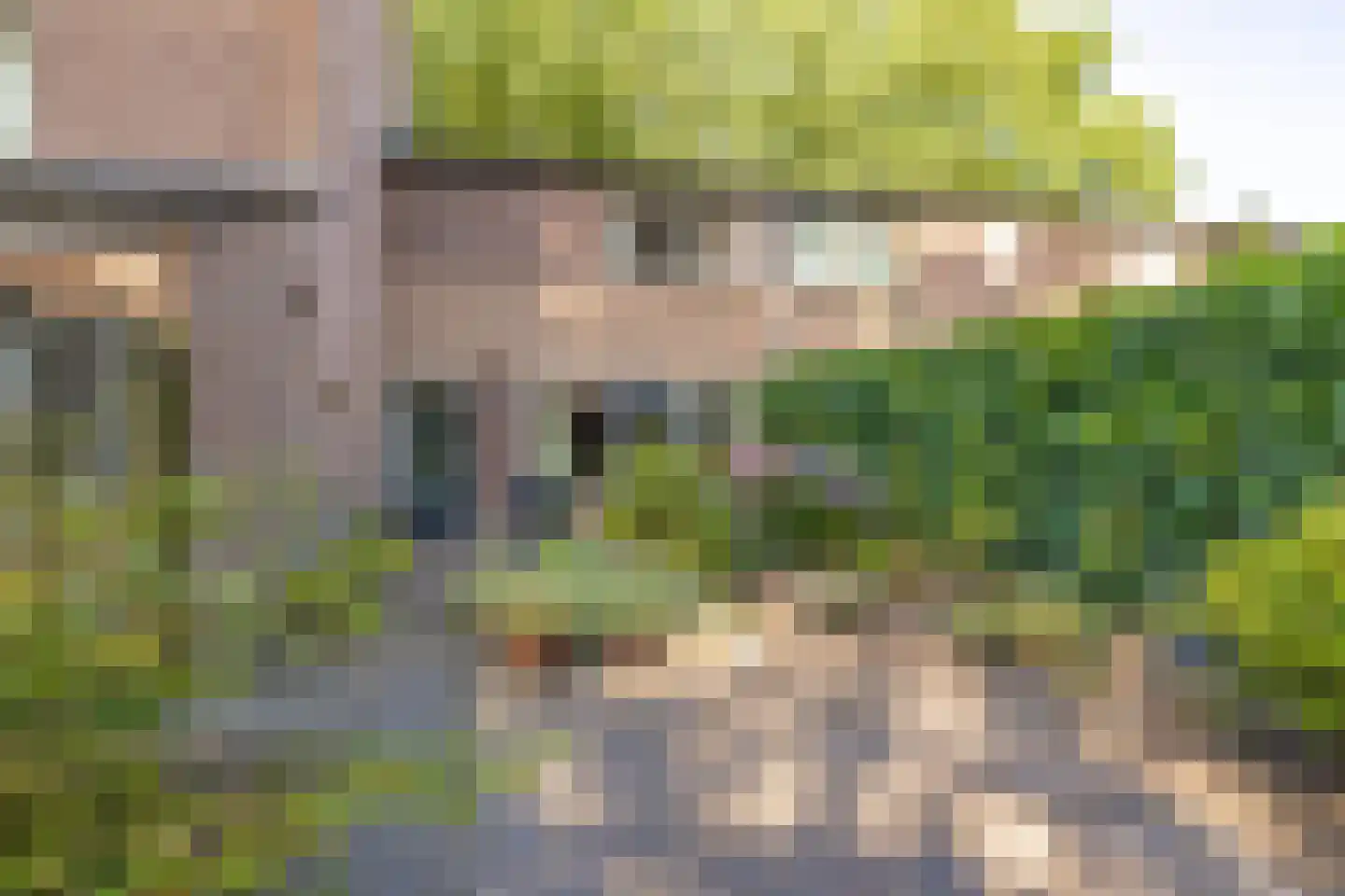 Venneweide 139 Breda thumbnail 32