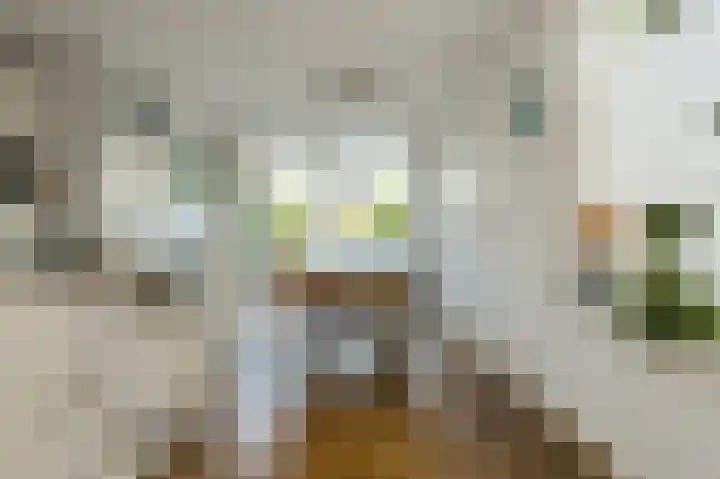 Venneweide 4 Breda thumbnail 11