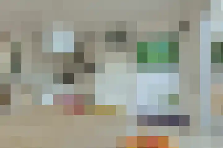 Venneweide 4 Breda thumbnail 12