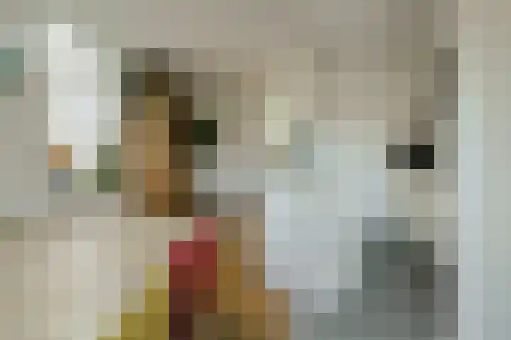 Venneweide 4 Breda thumbnail 13
