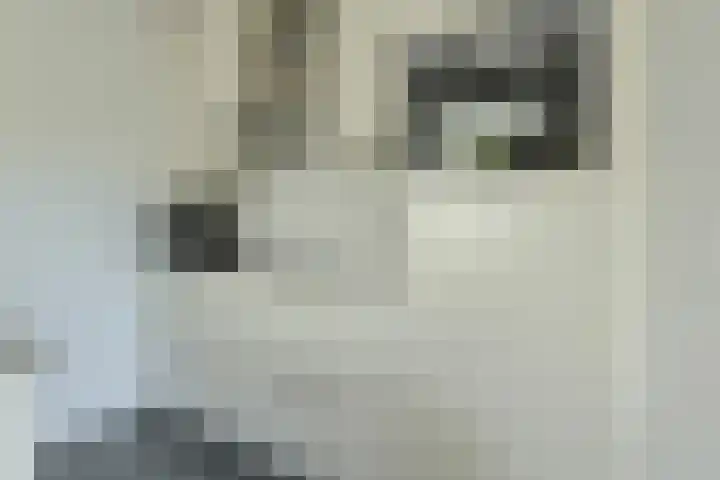 Venneweide 4 Breda thumbnail 14