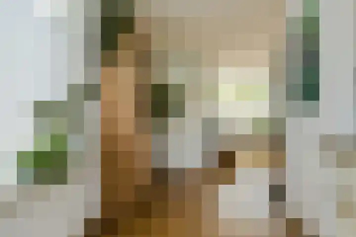 Venneweide 4 Breda thumbnail 17