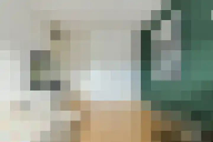 Venneweide 4 Breda thumbnail 28