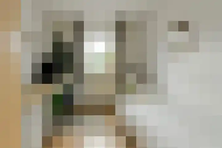 Venneweide 4 Breda thumbnail 29