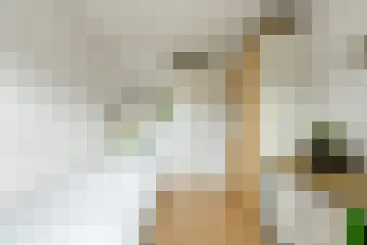 Venneweide 4 Breda thumbnail 30