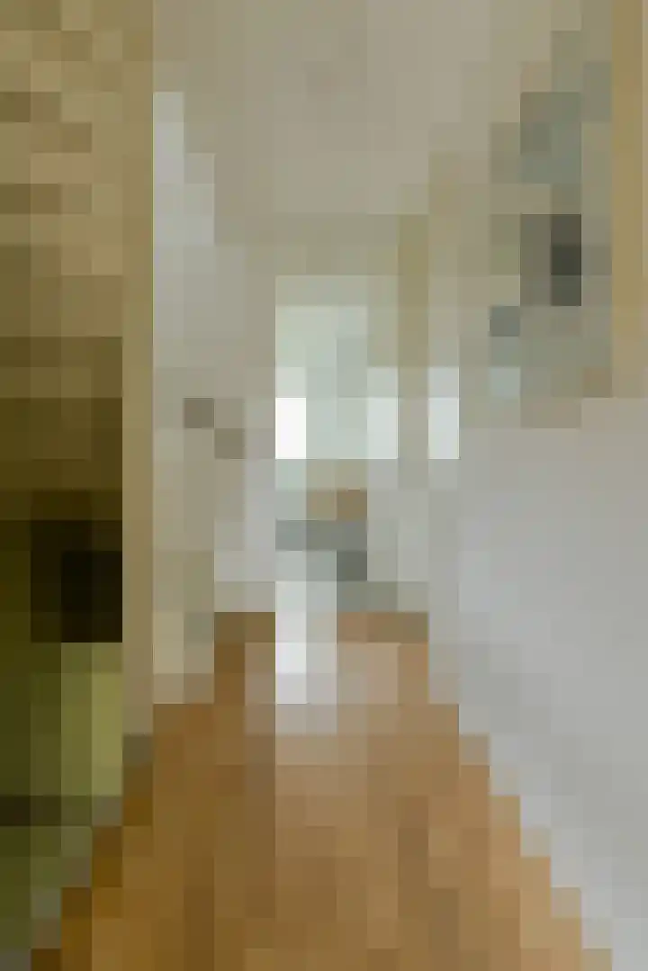 Venneweide 4 Breda thumbnail 31