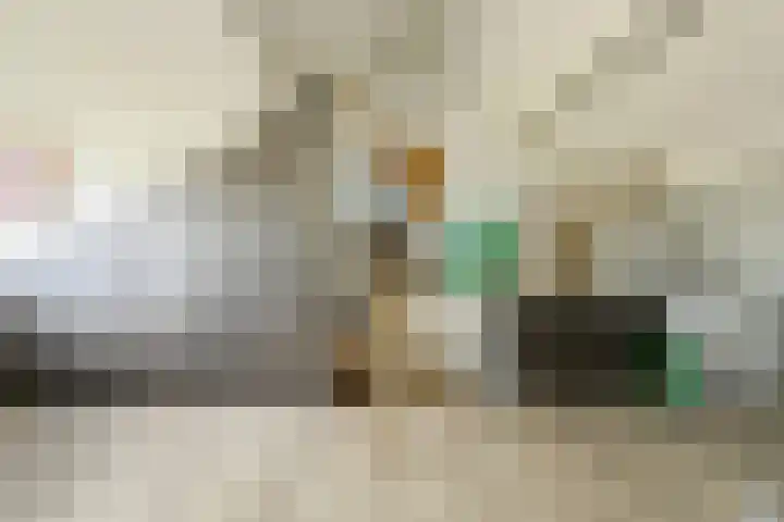 Venneweide 4 Breda thumbnail 33