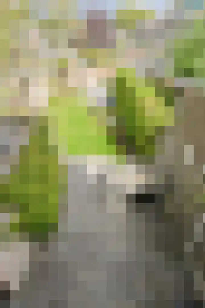 Venneweide 4 Breda thumbnail 38